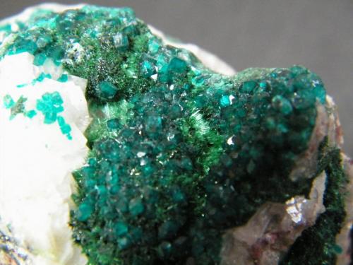 Dioptase and Malachite<br />Tsumeb Mine, Tsumeb, Otjikoto Region, Namibia<br />35mm x 70mm x 70mm<br /> (Author: Heimo Hellwig)