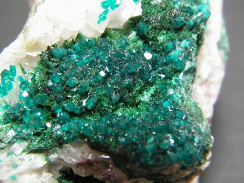 Dioptase and Malachite<br />Tsumeb Mine, Tsumeb, Otjikoto Region, Namibia<br />35mm x 70mm x 70mm<br /> (Author: Heimo Hellwig)