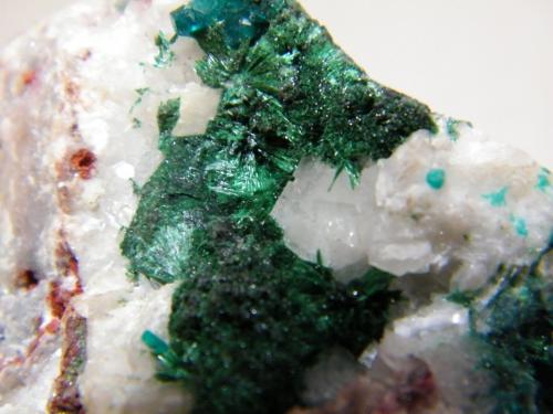 Dioptase and Malachite<br />Tsumeb Mine, Tsumeb, Otjikoto Region, Namibia<br />35mm x 70mm x 70mm<br /> (Author: Heimo Hellwig)