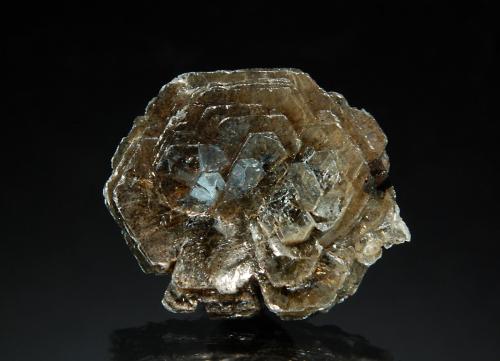 Polylithionite<br />Poudrette Quarry, Mont Saint-Hilaire, La Vallée-du-Richelieu RCM, Montérégie, Québec, Canada<br />1.7 x 2.0 cm<br /> (Author: crosstimber)