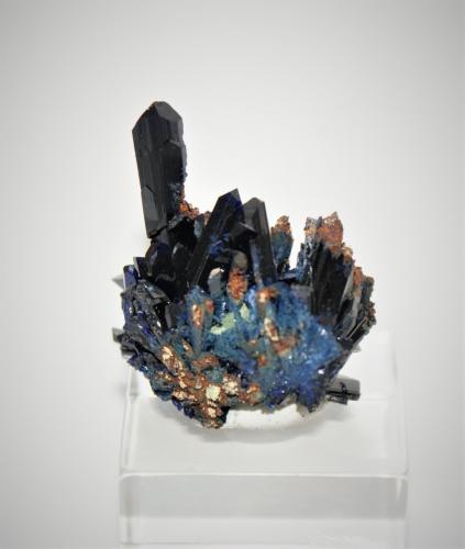 Azurite<br />Touissit, Touissit District, Jerada Province, Oriental Region, Morocco<br />40mm x 30mm x 30mm<br /> (Author: Philippe Durand)