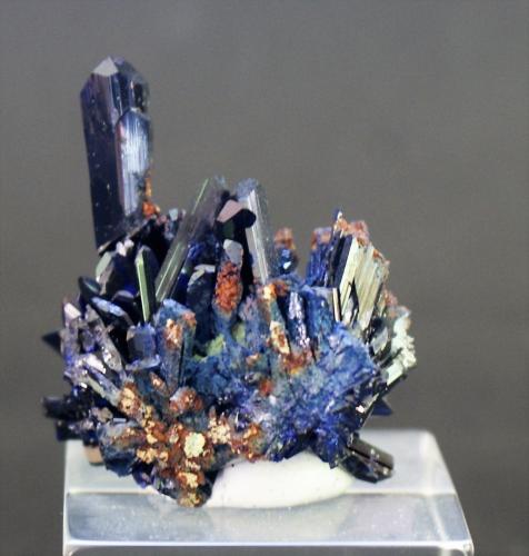 Azurite<br />Touissit, Touissit District, Jerada Province, Oriental Region, Morocco<br />40mm x 30mm x 30mm<br /> (Author: Philippe Durand)