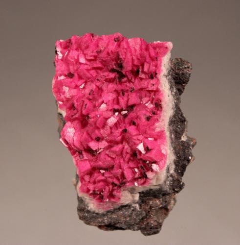 Calcite (variety cobaltoan calcite)<br />Aghbar Mine (Arhbar Mine), Bou Azzer mining district, Zagora Province, Drâa-Tafilalet Region, Morocco<br />65mm x 42mm x 25mm<br /> (Author: Don Lum)