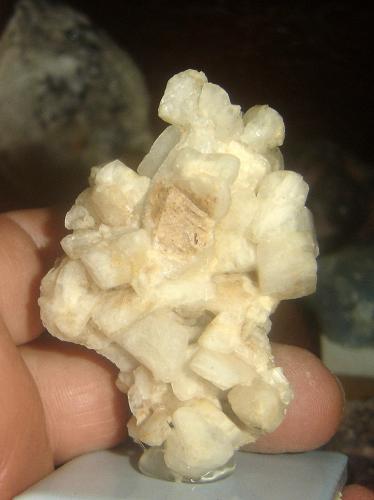 Oligoclasa<br />Vicente Marinho Mine, Mantena, Vale do Rio Doce, Minas Gerais, Brazil<br />6 x 4,5 x 2,6 cm<br /> (Autor: Anisio Claudio)