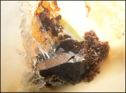 Zalesiita, Arseniosiderita y Ferberita.<br />Alcantarilla Mine, Encinilla Baja-Ventosilla, Belalcázar, Comarca Los Pedroches, Córdoba, Andalusia, Spain<br />Campo de visión de 2 mm.<br /> (Autor: Antonio Carmona)