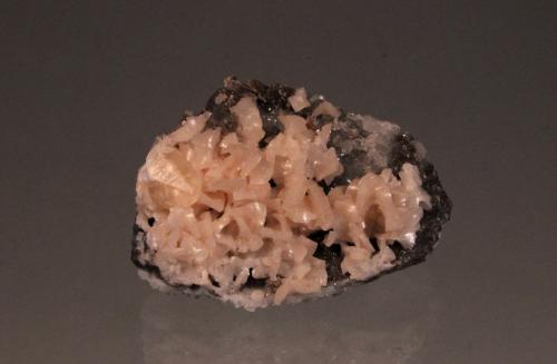 Dolomite, Calcite, Quartz<br />Monte Cristo Mine, Rush, Rush Creek District, Marion County, Arkansas, USA<br />67mm x 48mm x 37mm<br /> (Author: Don Lum)