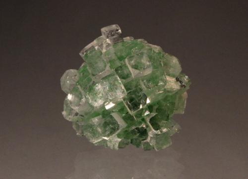 Fluorapophyllite-(K)<br />Ahmadnagar District, Maharashtra, India<br />55mm x 52mm x 37mm<br /> (Author: Don Lum)