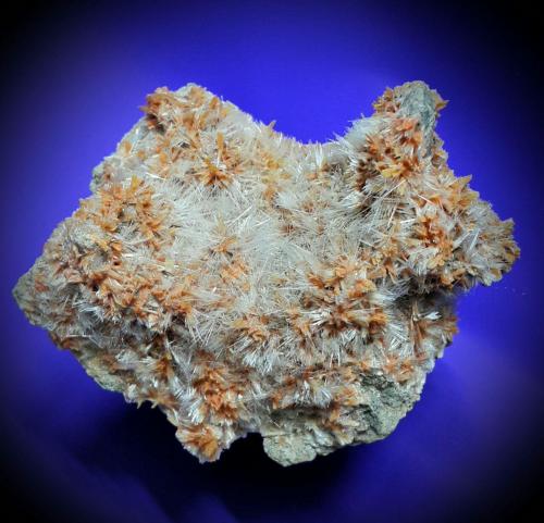 Mesolite<br />Meshgin Shahr, Distrito Meshgin Shahr, Provincia Ardabil, Irán<br />12 * 10 cm<br /> (Author: h.abbasi)