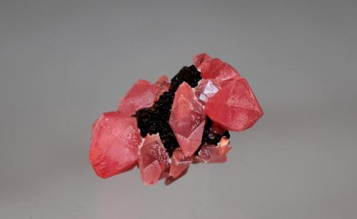 Rhodochrosite<br />Mina Uchucchacua, Provincia Oyón, Departamento Lima, Perú<br />33mm x 22mm x 24mm<br /> (Author: Don Lum)