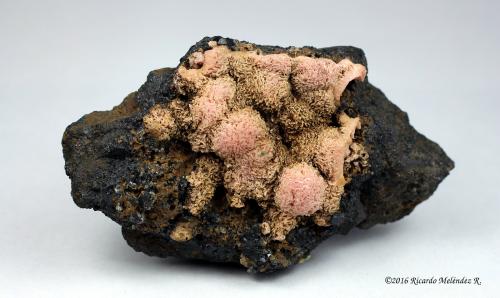 Rhodochrosite, Ilvaite<br />Los Remedios Mine, Taxco de Alarcón, Municipio Taxco, Guerrero, Mexico<br />9 x 5 x 3 centimeters<br /> (Author: Ricardo Melendez)