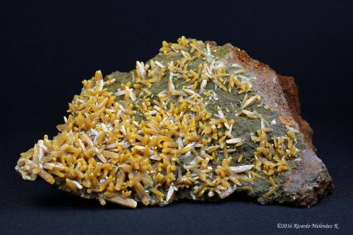 Wulfenite, Mimetite, limonite<br />Ojuela Mine, Mapimí, Municipio Mapimí, Durango, Mexico<br />16 x 12 x 6 centimeters<br /> (Author: Ricardo Melendez)