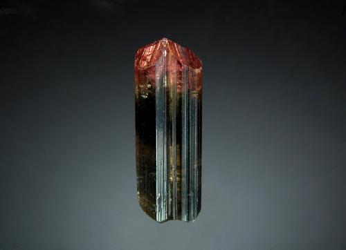 Elbaite<br />Otjua Mine, Otjua Farm 37, Karibib District, Erongo Region, Namibia<br />1.5 x 4.2 cm<br /> (Author: crosstimber)