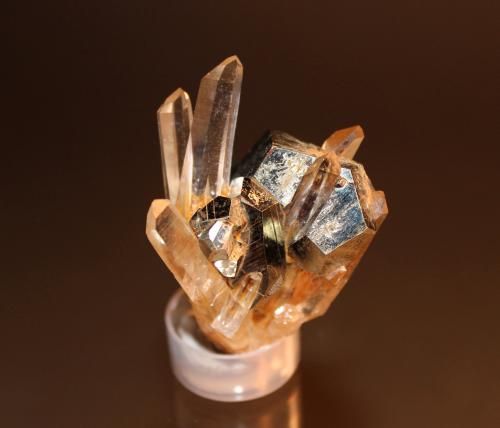 Pyrite, Quartz<br />Concesión Spruce, Goldmyer Hot Springs, Condado King, Washington, USA<br />60mm x 41mm x 38mm<br /> (Author: Don Lum)