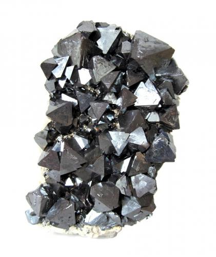 Magnetite<br />Cerro Huañaquino, Paco Grande, Tomás Frías Province, Potosí Department, Bolivia<br />Specimen height 9,5 cm, largest crystal 2 cm<br /> (Author: Tobi)