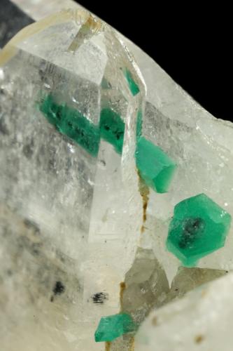 Beryl (variety emerald), Quartz, Calcite<br />Peñas Blancas Mine, Municipio San Pablo de Borbur, Western Emerald Belt, Boyacá Department, Colombia<br />33x43x20mm, main xl=11mm<br /> (Author: Fiebre Verde)