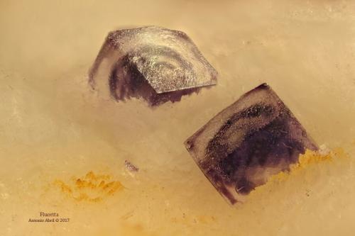 Fluorita<br />Namakwa District (Namaqualand), Northern Cape Province, South Africa<br />3,5 x 3 x 1 cm<br /> (Autor: Antonio Alcaide)