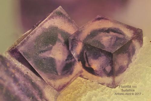 Fluorita<br />Namakwa District (Namaqualand), Northern Cape Province, South Africa<br />3,5 x 3 x 1 cm<br /> (Autor: Antonio Alcaide)