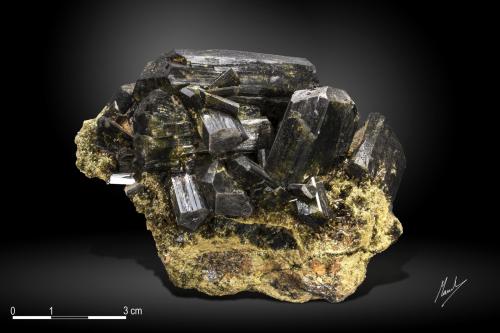 Epidote<br />Concession Morgan 3, Coayllo, Cañete Province, Lima Department, Peru<br />87 x 64 mm<br /> (Author: Manuel Mesa)