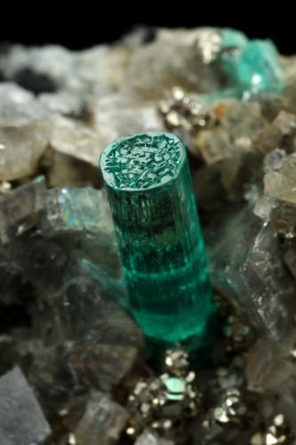 Beryl (variety emerald), Albite (variety cleavelandite), Pyrite, Calcite<br />Chivor mining district, Manantial Mine, Municipio Chivor, Eastern Emerald Belt, Boyacá Department, Colombia<br />44x23x24mm, main xl=8mm<br /> (Author: Fiebre Verde)