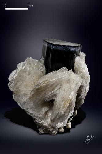 Elbaite and Albite (variety cleavelandite)<br />Paprok, Distrito Kamdesh, Provincia Nuristan, Afganistán<br />37 x 33 mm<br /> (Author: Manuel Mesa)