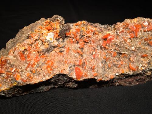 Wulfenite<br />Red Cloud Mine, Trigo Mountains, Silver District, La Paz County, Arizona, USA<br />263 mm x 80 mm x 57 mm<br /> (Author: Robert Seitz)