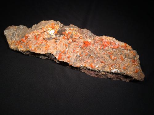 Wulfenite<br />Red Cloud Mine, Trigo Mountains, Silver District, La Paz County, Arizona, USA<br />263 mm x 80 mm x 57 mm<br /> (Author: Robert Seitz)
