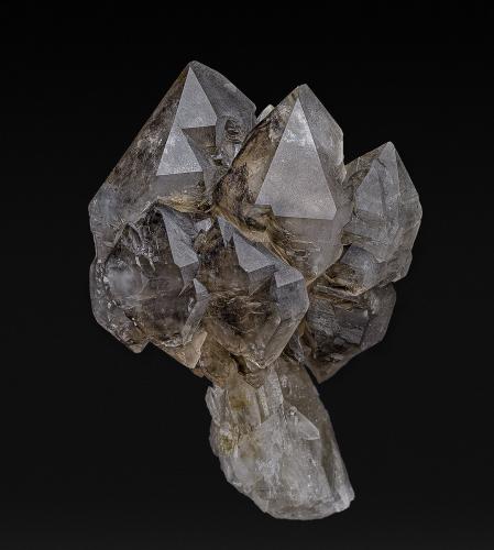 Quartz (variety smoky quartz)<br />Deer Hill, Stow, Oxford County, Maine, USA<br />7.9 x 5.3 cm<br /> (Author: am mizunaka)