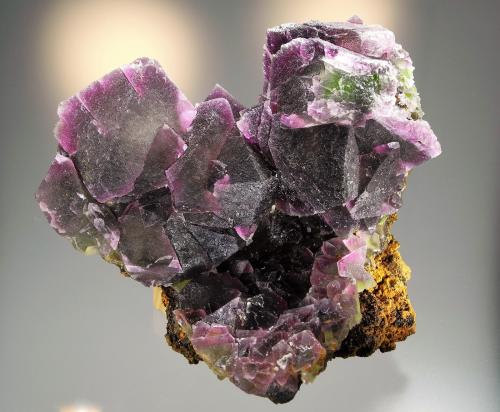 Fluorite<br />Cookes Peak District, Luna County, New Mexico, USA<br />14.8 x 12.7<br /> (Author: Philip Simmons)