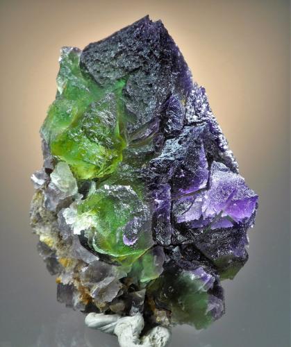 Fluorite<br />Cookes Peak District, Luna County, New Mexico, USA<br />8.9 x 6.8<br /> (Author: Philip Simmons)