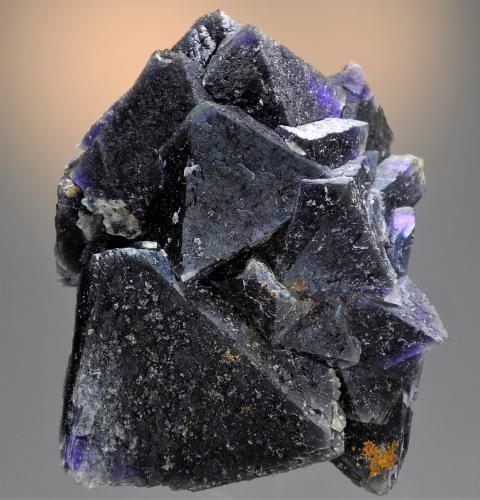 Fluorite<br />Cookes Peak District, Luna County, New Mexico, USA<br />10.1 x 8.0 cm. Largest crystal is 5.5 cm.<br /> (Author: Philip Simmons)