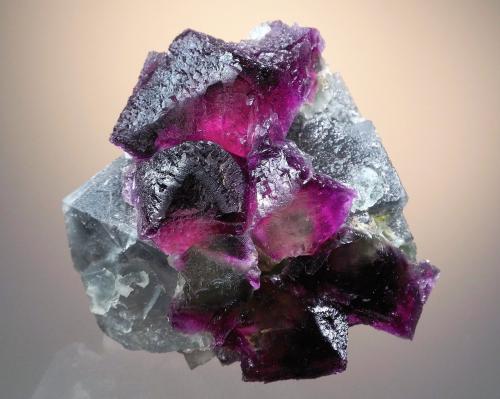 Fluorite<br />Cookes Peak District, Luna County, New Mexico, USA<br />6.4 x 6.1 cm<br /> (Author: Philip Simmons)