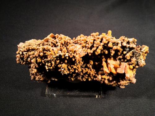 Mimetite, Wulfenite<br />San Francisco Mine, Cerro Prieto, Cucurpe, Municipio Cucurpe, Sonora, Mexico<br />115 mm x 60 mm x 45 mm<br /> (Author: Robert Seitz)