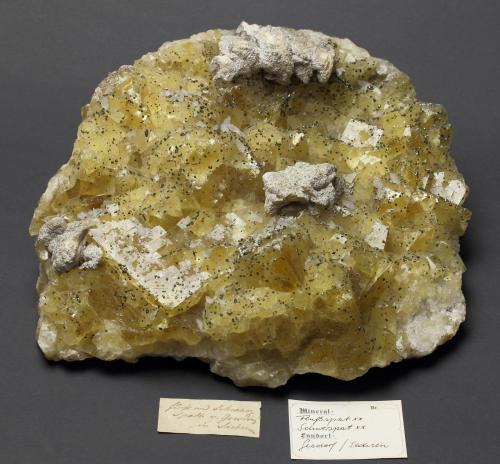 Fluorite<br />Segen Gottes Mine, Gersdorf, Roßwein, Freiberg District, Erzgebirgskreis, Saxony/Sachsen, Germany<br />25 cm x 20 cm<br /> (Author: Thomas Uhlig)