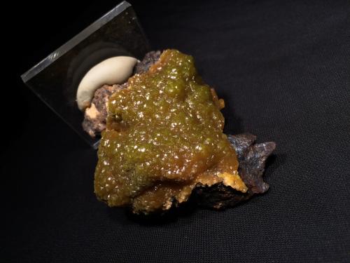 Pyromorphite<br />Bunker Hill Mine, Bunker Hill properties, Kellogg, Coeur d'Alene District, Shoshone County, Idaho, USA<br />80 mm x 65 mm x 30 mm<br /> (Author: Robert Seitz)