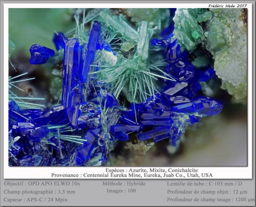 Azurite, Mixite and Conichalcite<br />Centennial Eureka Mine (Blue Rock), Eureka, Tintic District, East Tintic Mountains, Juab County, Utah, USA<br />fov 3.5 mm<br /> (Author: ploum)