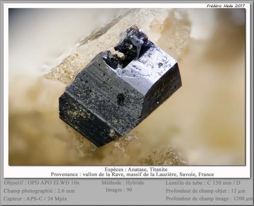 Anatase<br />Vallon de la Rave, Macizo La Lauzière, Saint-Jean-de-Maurienne, Saboya, Auvergne-Rhône-Alpes, Francia<br />fov 2.6 mm<br /> (Author: ploum)