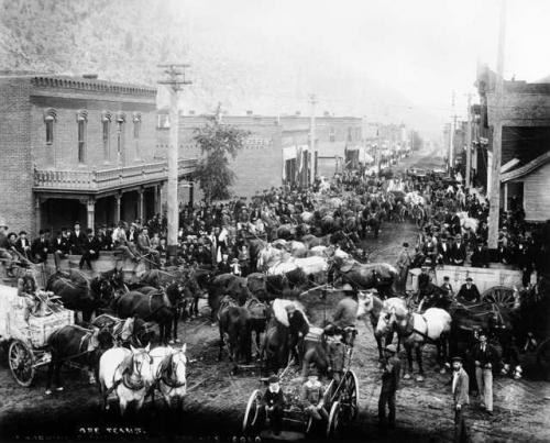 Ore teams and more in Idaho Springs, Colorado, 1894. (Author: vic rzonca)
