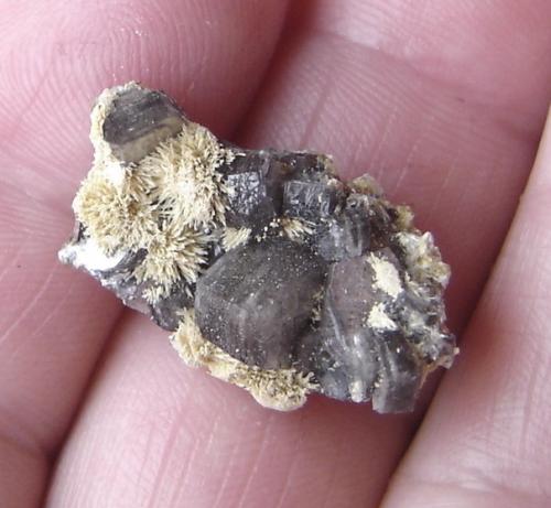 Stellerita<br />Monte Bérico, Caxias do Sul, Nordeste Rio-grandense, Rio Grande do Sul, Brazil<br />3,8 x 2 x 1,3 cm<br /> (Autor: Anisio Claudio)