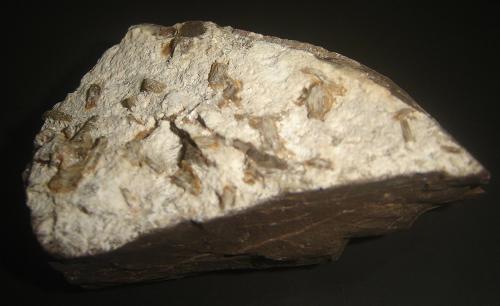 Stellerita<br />Monte Bérico, Caxias do Sul, Nordeste Rio-grandense, Rio Grande do Sul, Brazil<br />8 x 3,7 x 3 cm<br /> (Autor: Anisio Claudio)