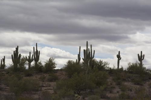 _And the clouds gather over the dusty trail east of the Tortilla Mountains. (Author: vic rzonca)