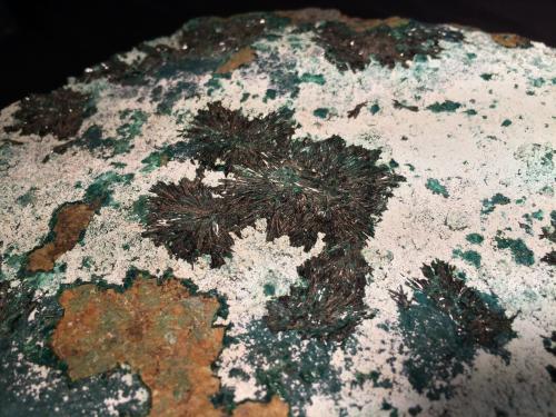 Atacamite, Halloysite<br />Provincia Copiapó, Región Atacama, Chile<br />270 mm x 140 mm x 55 mm<br /> (Author: Robert Seitz)