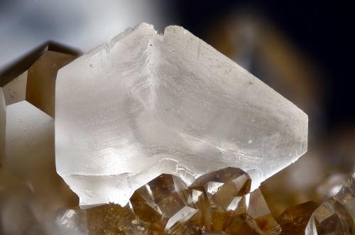 Calcita, Celestina<br />Minerama II claim, Puente Tablas, Jaén city, Jaén, Comarca Metropolitana de Jaén, Andalusia, Spain<br />Campo de visión 5 mm<br /> (Autor: Juan Miguel)