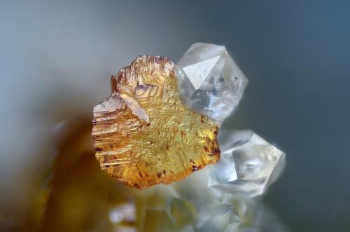 Siderita, Cuarzo<br />San Carlos Mine, Hiendelaencina, Comarca Serranía de Guadalajara, Guadalajara, Castilla-La Mancha, Spain<br />Campo de visión 2 mm<br /> (Autor: Juan Miguel)