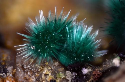 Malaquita<br />Sierra de Gádor, Almería, Andalucía, España<br />Campo de visión 2,1 mm<br /> (Autor: Juan Miguel)