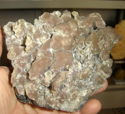 Calcita<br />Iraí, Alto Uruguai region, Rio Grande do Sul, Brazil<br />13 x 12 x 5 cm<br /> (Autor: Anisio Claudio)