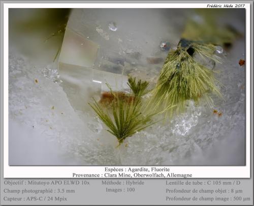 Agardite (Series) on Fluorite<br />Mina Clara, Valle Rankach, Oberwolfach, Wolfach, Selva Negra, Baden-Württemberg, Alemania<br />fov 3.5 mm<br /> (Author: ploum)