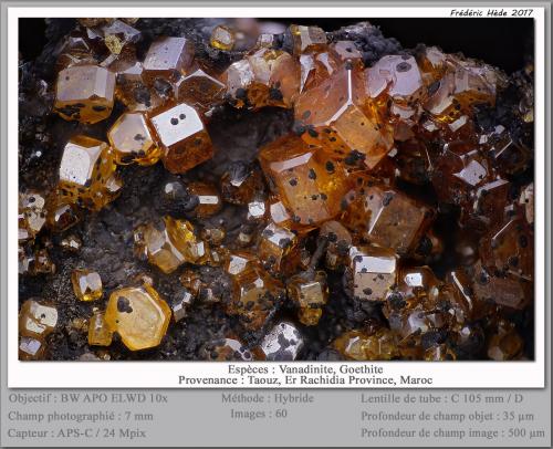 Vanadinite and Goethite<br />Taouz, Provincia Er Rachidia, Región Drâa-Tafilalet, Marruecos<br />fov 7 mm<br /> (Author: ploum)