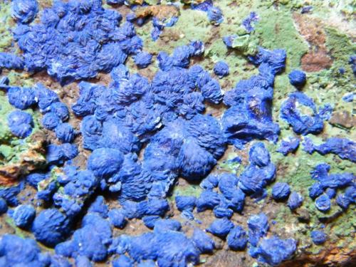 Azurite and Malachite<br />Tschudi Mine, Otavi, Otjozondjupa Region, Namibia<br />210mm x 165mm x 55mm<br /> (Author: Heimo Hellwig)