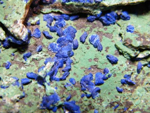 Azurite and Malachite<br />Tschudi Mine, Otavi, Otjozondjupa Region, Namibia<br />210mm x 165mm x 55mm<br /> (Author: Heimo Hellwig)