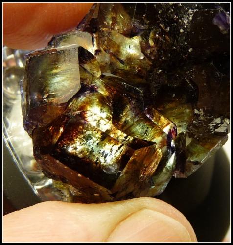 Fluorite<br />Erongo Mountain, Usakos, Erongo Region, Namibia<br />50 x 27 x 17 mm<br /> (Author: Pierre Joubert)